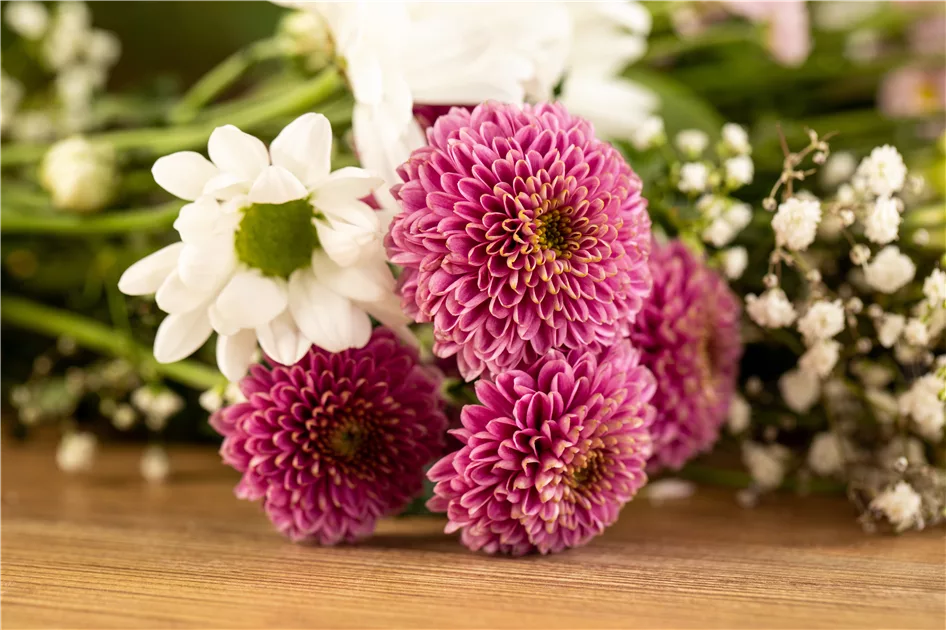 Schnittblumen sorgen für Farbe im Winter