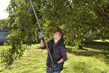 Gardena Teleskop-Baumschneider StarCut 410 plus B89319