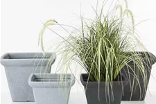 PP-Plastic Gefäß Gardo 34 34x34x27cm grau K92346
