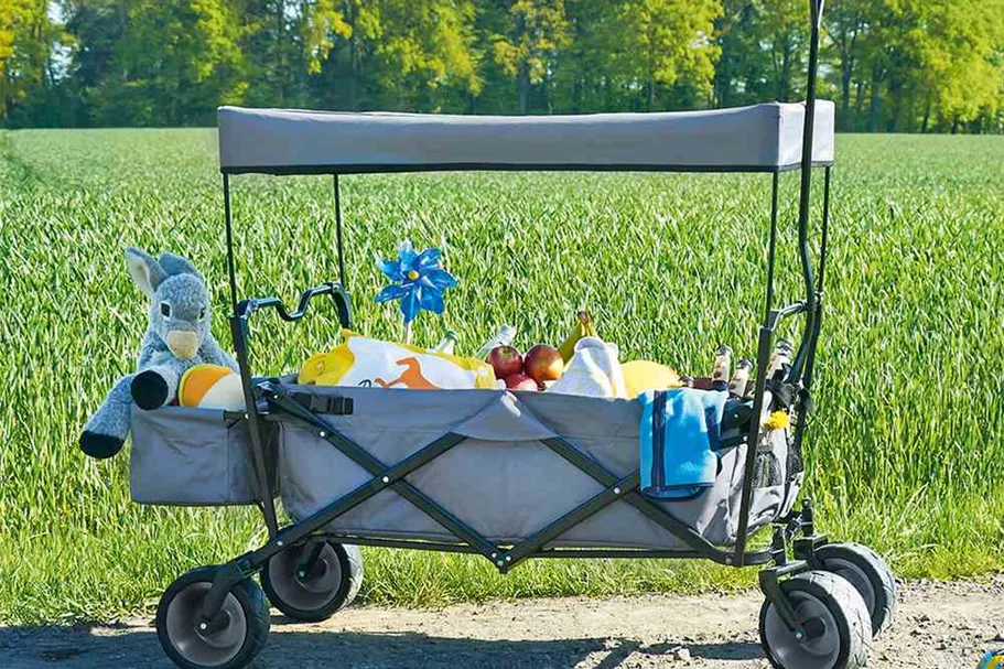 Pinolino Klappbollerwagen Paxi, grau D71605