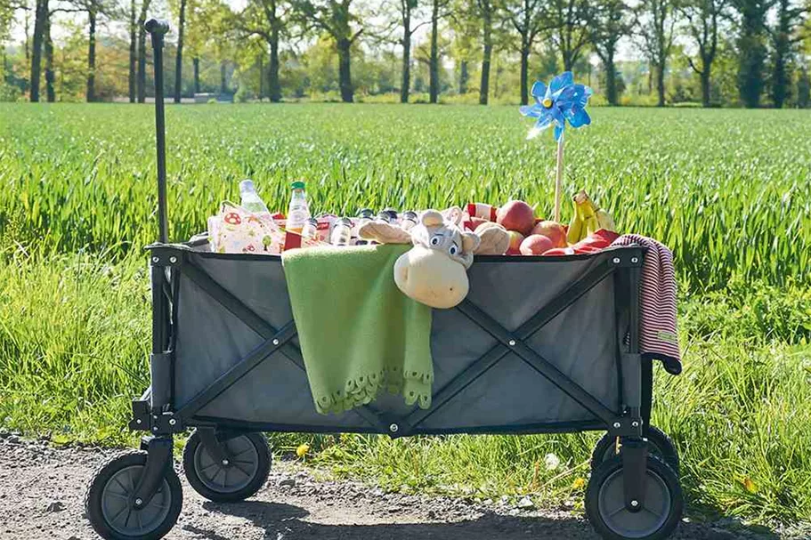 Pinolino Klappbollerwagen Porti, schwarz D71604