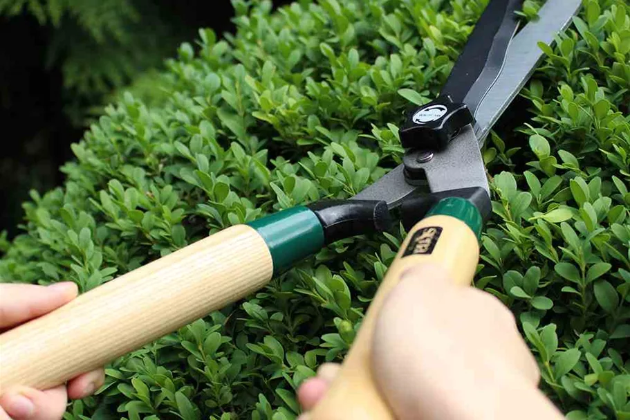 Siena Garden ClassicLine Heckenschere Wellenschliff 55 cm 358344