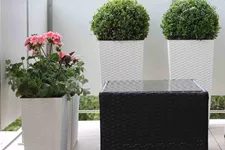 Siena Garden Pflanzkasten Loire, eckig, 56x19x36,5 cm Rillenoptik in weiß Kunststoff K07059