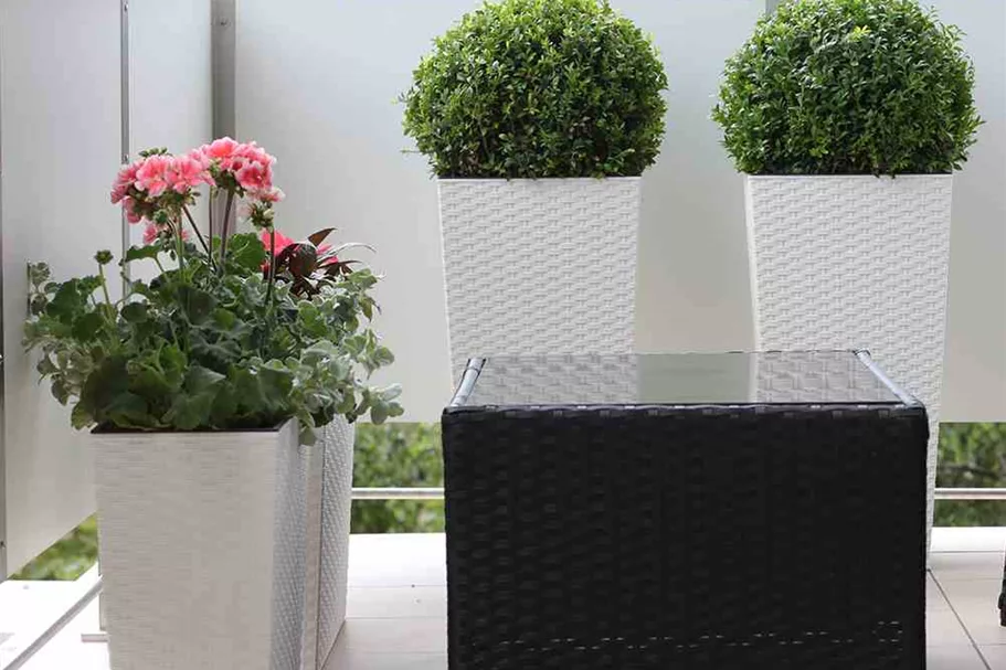 Siena Garden Pflanzkasten Loire, eckig, 56x19x36,5 cm Rillenoptik in weiß Kunststoff K07059