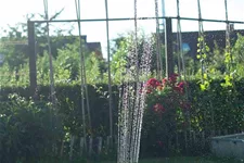 Siena Garden Viereckregner 3500, mehrfach verstellbar 399885