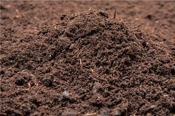 Pflanzenerde eine gute Alternative zur Blumenerde? Pflanzenerde eine gute Alternative zur Blumenerde?